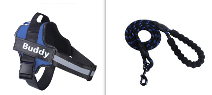 Fashion Simple Pet Leash Chest Strap Set (Option: Blue-S)