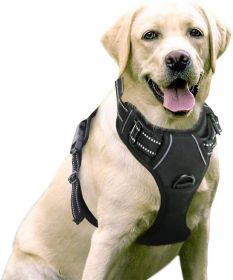 Dog Harness; No-Pull Pet Harness with 2 Leash Clips; Adjustable Soft Padded Dog Vest; Reflective No-Choke Pet Oxford Vest with Easy Control Handl (Color: Bright Pumpkin, size: large)